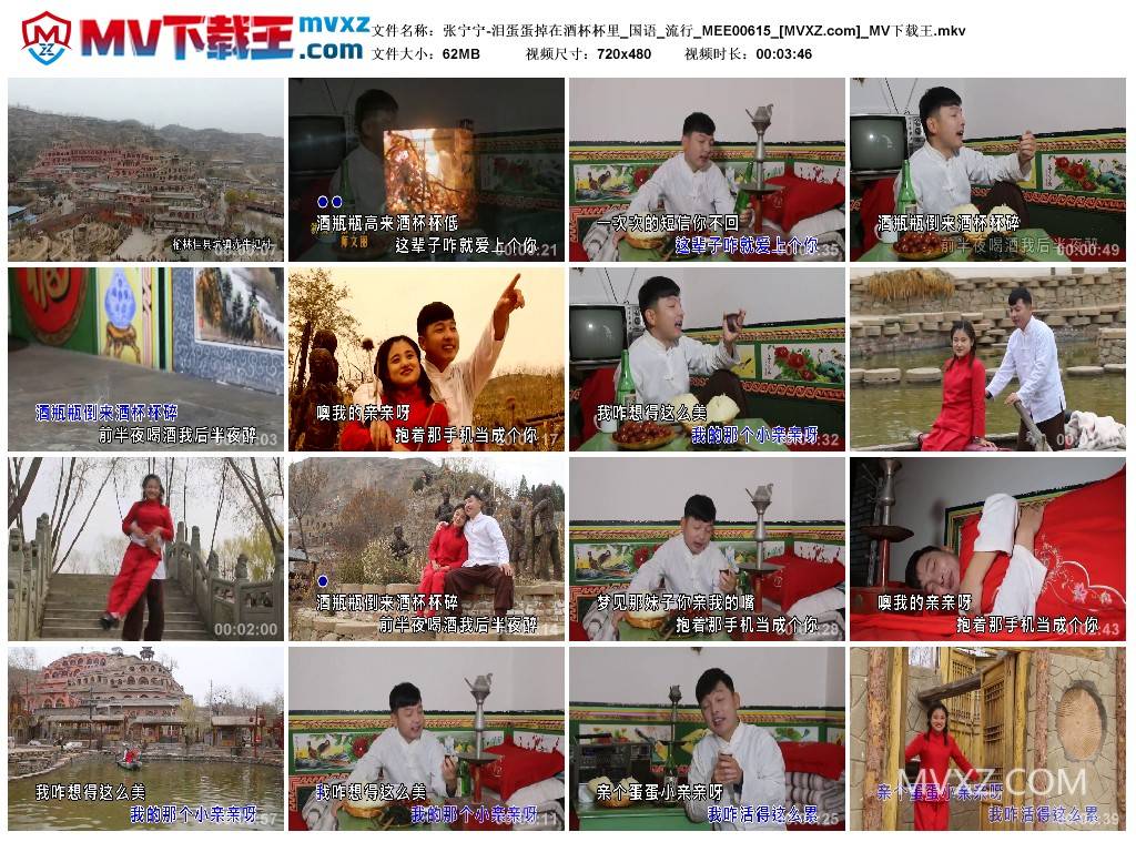 张宁宁-泪蛋蛋掉在酒杯杯里_国语_流行_MEE00615